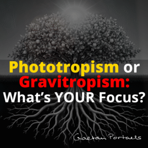 Phototropism or Gravitropism - What’s YOUR Focus - Gaetan Portaels